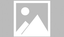 沫沫前老板最新爆料,职场真相与沫沫的真实面目